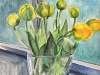 Tulpen 2024